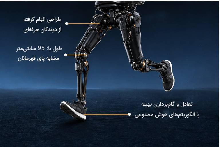 طراحی پا