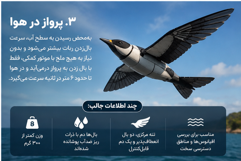 پرواز در هوا